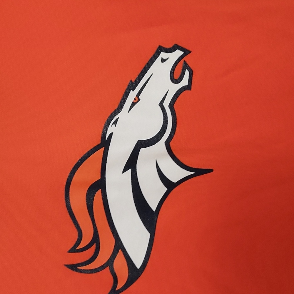 Team Apparel Denver Broncos Hoodie